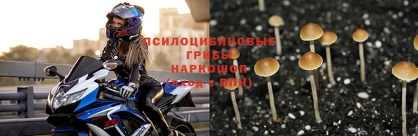 гидра Заволжье