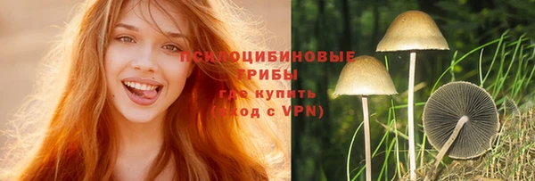 гидра Заволжье