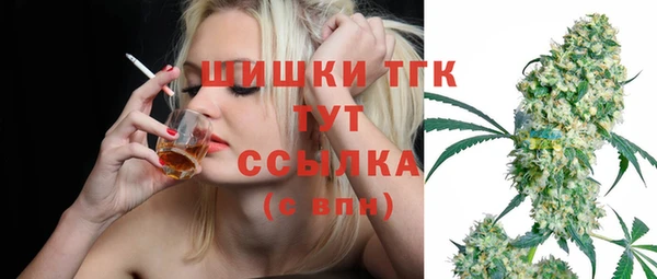 PSILOCYBIN Заводоуковск