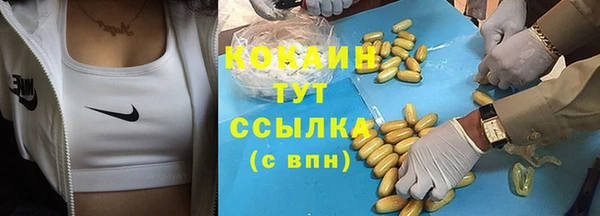 PSILOCYBIN Заводоуковск