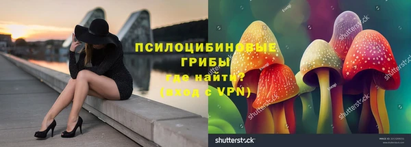гидра Заволжье