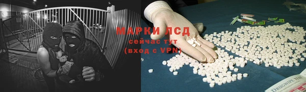PSILOCYBIN Заводоуковск