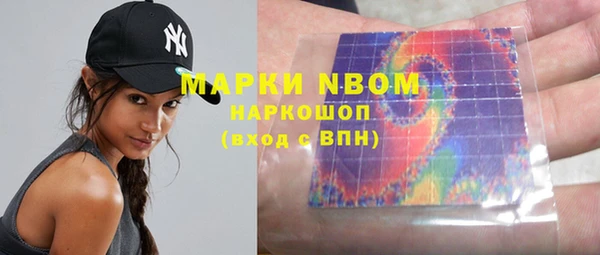 PSILOCYBIN Заводоуковск