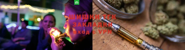 PSILOCYBIN Заводоуковск