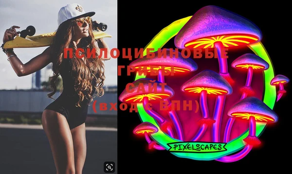 PSILOCYBIN Заводоуковск