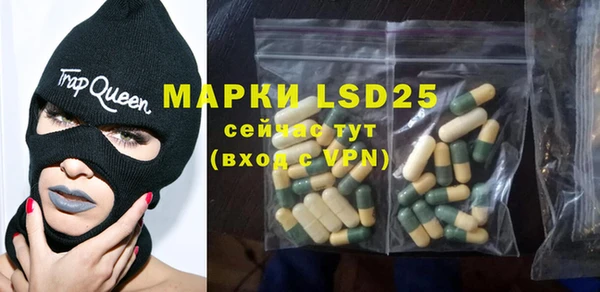гидра Заволжье