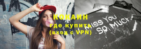PSILOCYBIN Заводоуковск